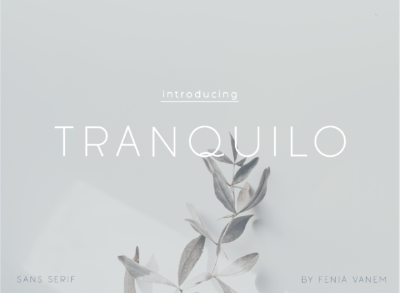 Tranquilo: A Minimalist Sans Serif Font for Editorial Calm