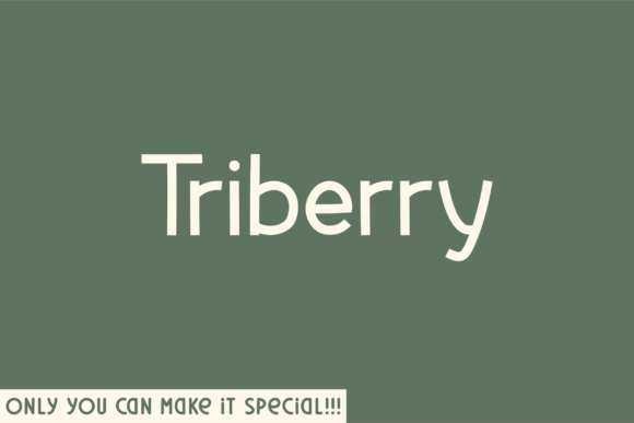 Triberry: The Unique Sans Serif Font for Small Business Branding